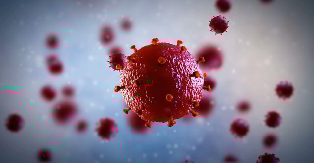 Coronavirus vaccine - How soon will there be one?