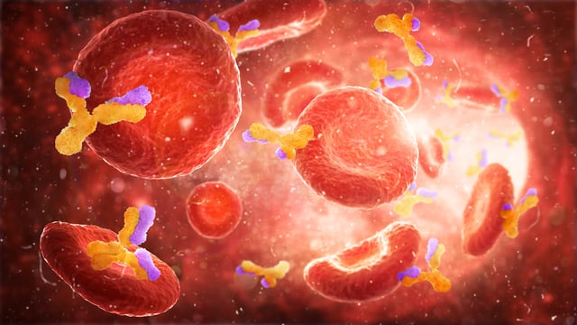 The Hidden Power of Plasma: From Blood to Lifesaving Therapies